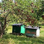 W Kiersztanowie ładnie Tu Mrągowo