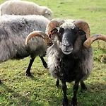 W Kiersztanowie ładnie Tu * Mrągowo