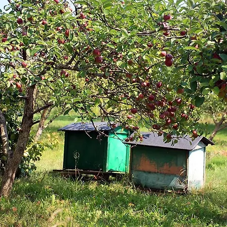 W Kiersztanowie Ladnie Tu Mrągowo