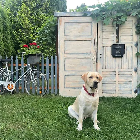 Holiday home W Kiersztanowie Ladnie Tu *