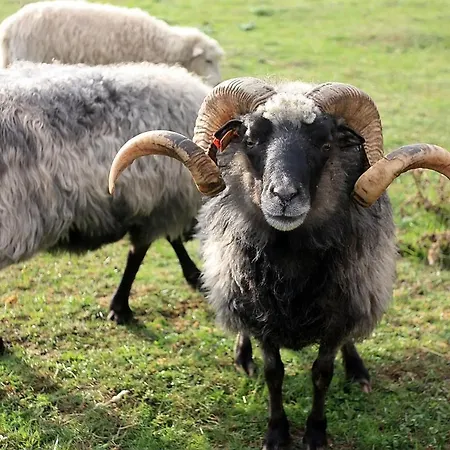 W Kiersztanowie Ladnie Tu * Mrągowo