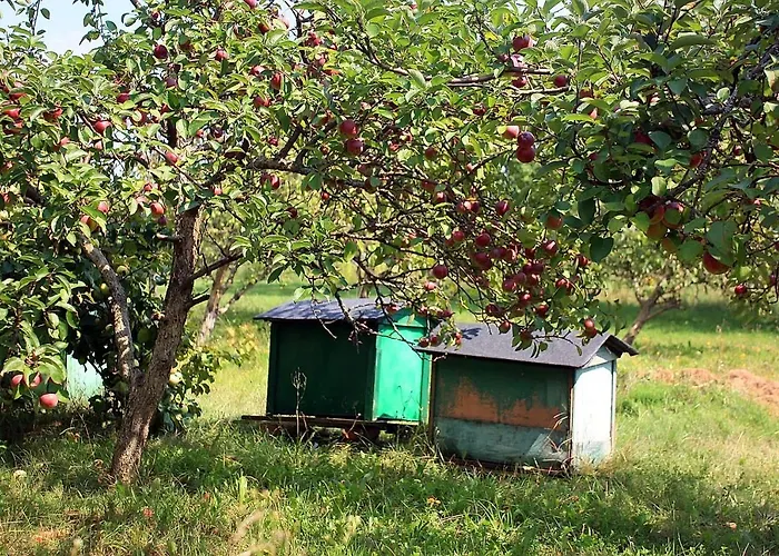 W Kiersztanowie Ladnie Tu Мронгово
