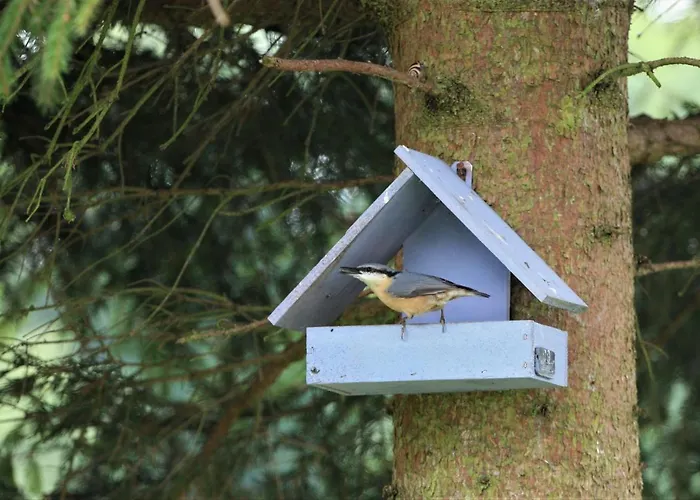 Дом отдыха W Kiersztanowie Ladnie Tu