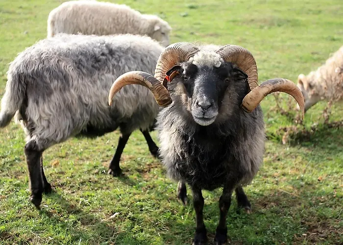 W Kiersztanowie Ladnie Tu * Мронгово